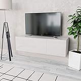 vidaXL TV Schrank mit 2 Fächern Fernsehtisch Fernsehschrank Lowboard TV Möbel Tisch Board Sideboard HiFi-Schrank Spanplatte 120x40x34cm Hochglanz Weiß